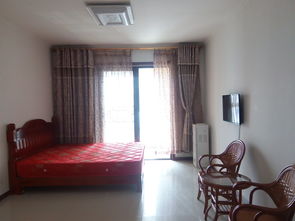 繁华中的静谧港湾 大名城单身公寓出租，优质物业管理全解析