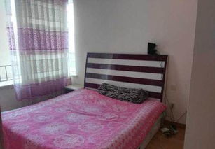 衡阳农民公寓出租市场现状与租赁指南